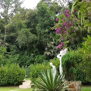  Apartamento Domus Espaço In Sol E Natureza